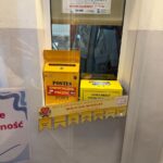 Szkolny happening stworzenie Drzewa Dobrych Myśli