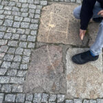 Lekcja geografii w terenie