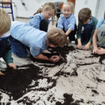 Zajęcia sensoryczne - dotyk natury