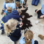 Zajęcia sensoryczne - dotyk natury