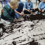 Zajęcia sensoryczne - dotyk natury