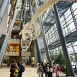 Zimowe półkolonie 2026