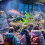 Zimowe półkolonie 2026