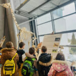 Zimowe półkolonie 2026