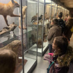 Zimowe półkolonie 2026