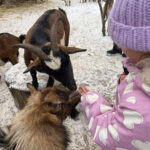 Zimowe półkolonie 2026